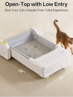 Open-Top Low Entry Cat Litter Box - White